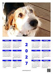 calendrier photo annuel