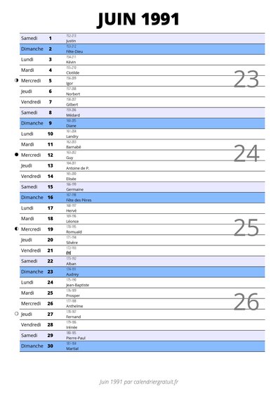 calendrier juin 1991 au format portrait pour prendre des notes